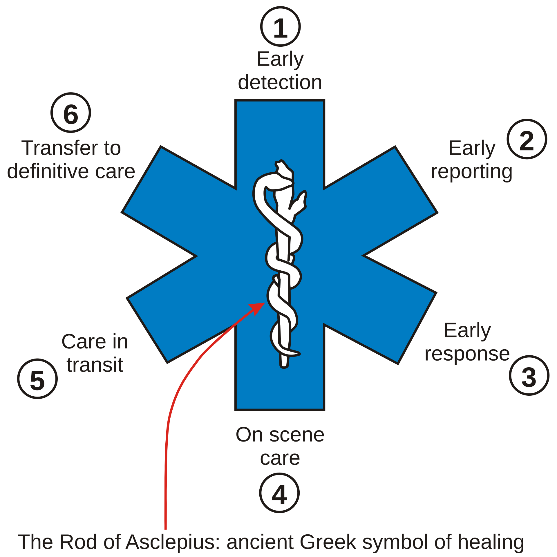 Star of Life Functions Diagram