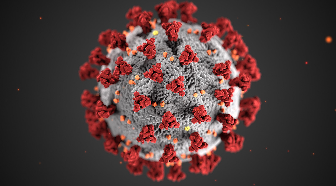Illustration of SARS-CoV-2 virus
